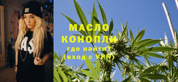 дживик Новозыбков