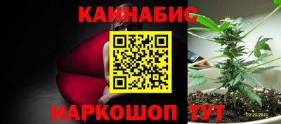 сатива Балаково