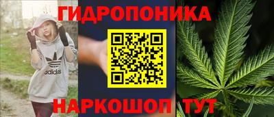 сатива Волгодонск