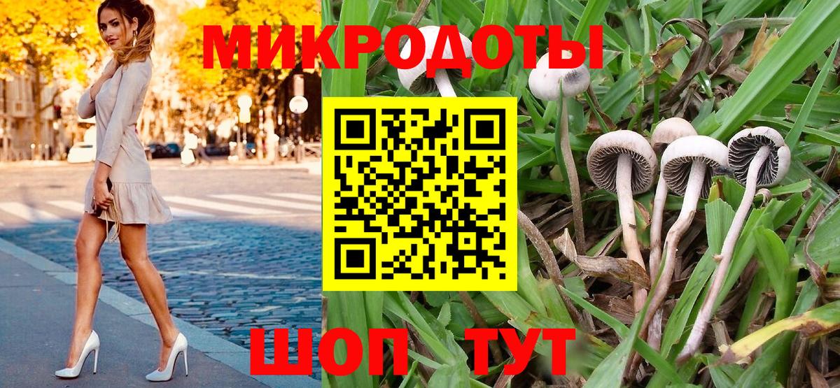 Галлюциногенные грибы Psilocybine cubensis Заволжье