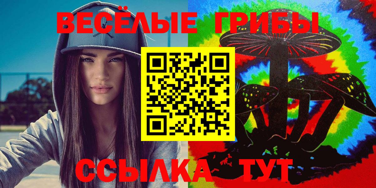 Заволжье  Псилоцибиновые грибы прущие грибы  Псилоцибиновые грибы прущие грибы  Вход с VPN 